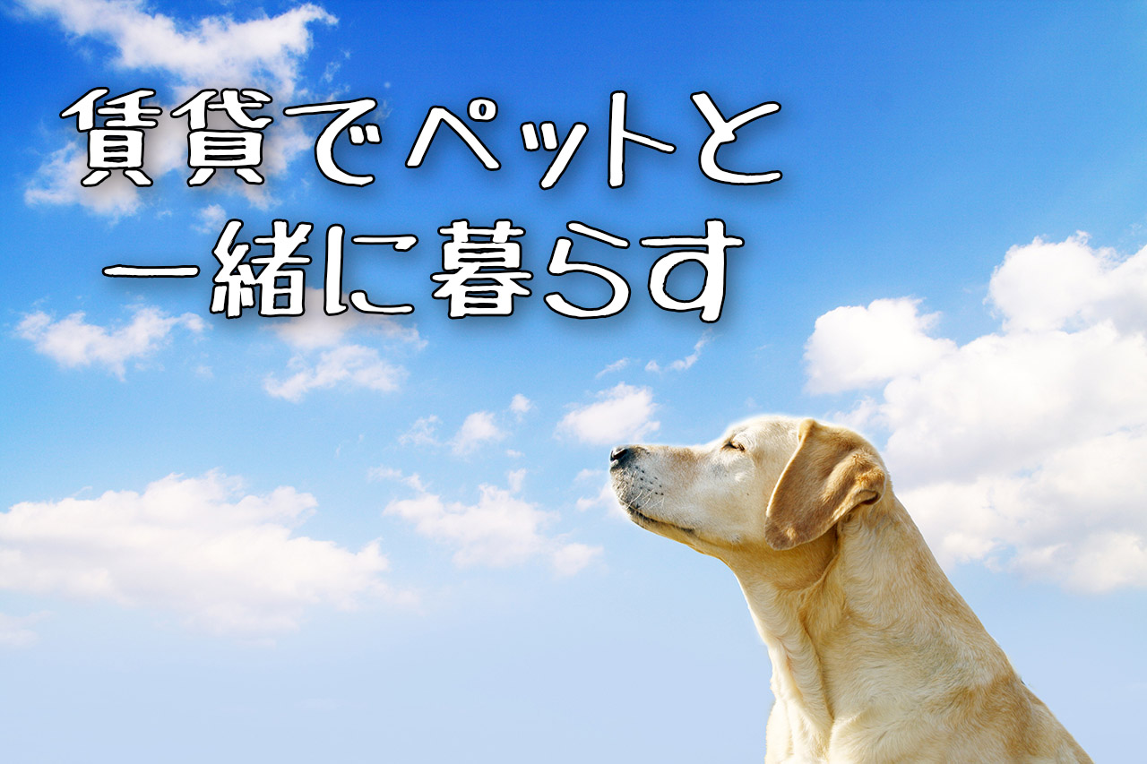マンションでペット飼育